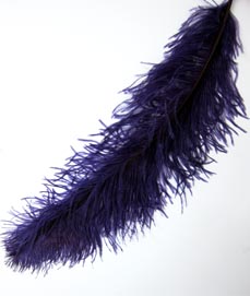 Straussenfeder ca. 65cm violett